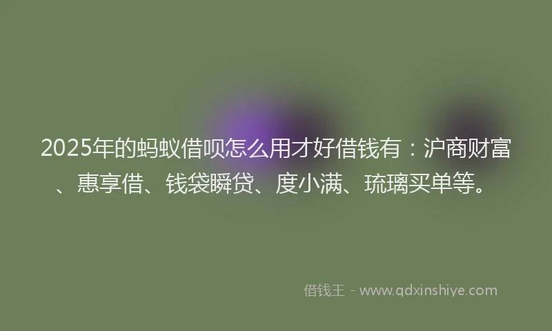 2025年的蚂蚁借呗怎么用才好借钱有：沪商财富、惠享借、钱袋瞬贷、度小满、琉璃买单等。