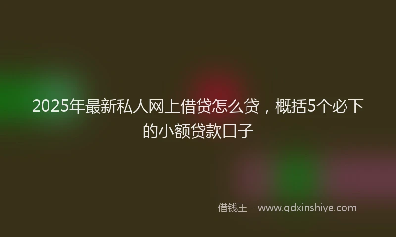 2025年最新私人网上借贷怎么贷，概括5个必下的小额贷款口子