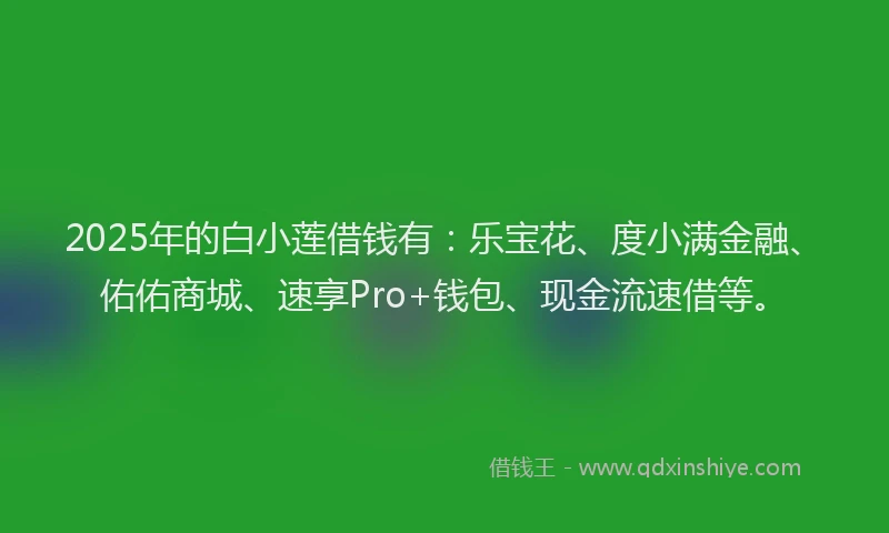 2025年的白小莲借钱有：乐宝花、度小满金融、佑佑商城、速享Pro+钱包、现金流速借等。
