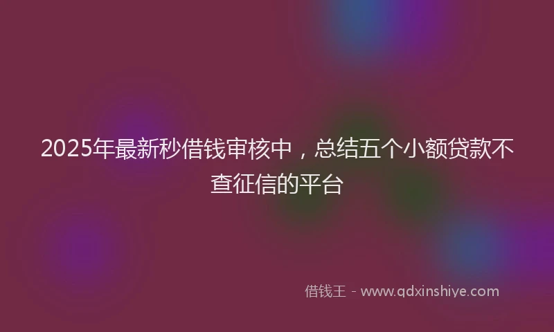 2025年最新秒借钱审核中，总结五个小额贷款不查征信的平台