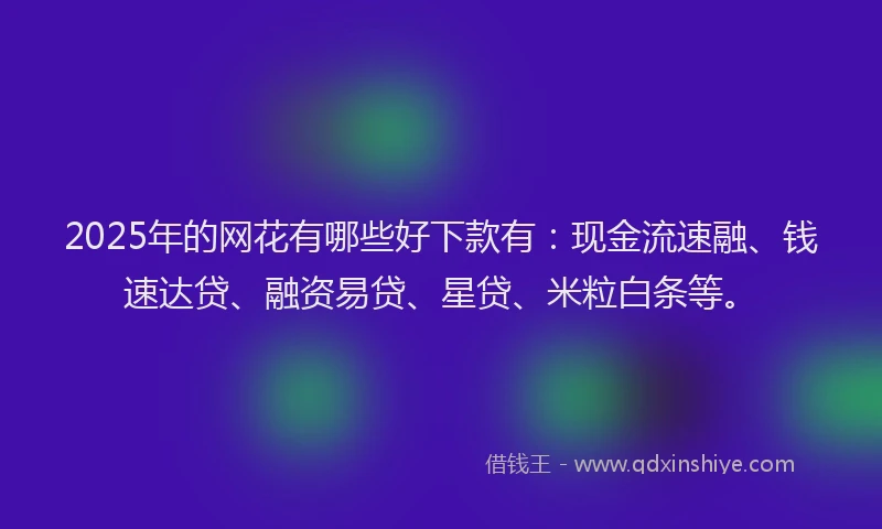 2025年的网花有哪些好下款有：现金流速融、钱速达贷、融资易贷、星贷、米粒白条等。