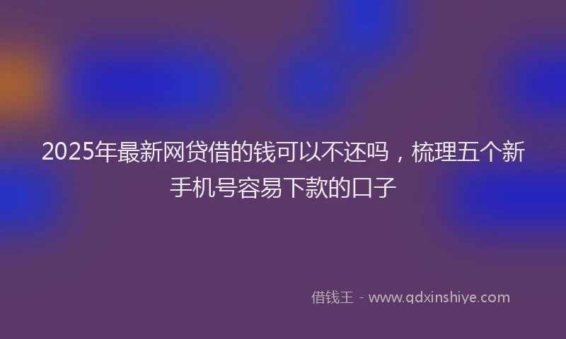 2025年最新网贷借的钱可以不还吗，梳理五个新手机号容易下款的口子