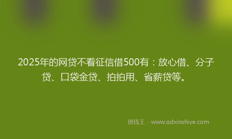 2025年的网贷不看征信借500有：放心借、分子贷、口袋金贷、拍拍用、省薪贷等。