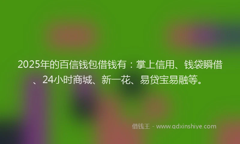 2025年的百信钱包借钱有：掌上信用、钱袋瞬借、24小时商城、新一花、易贷宝易融等。
