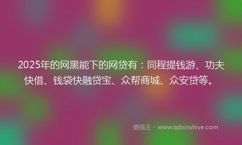 2025年的网黑能下的网贷有：同程提钱游、功夫快借、钱袋快融贷宝、众帮商城、众安贷等。