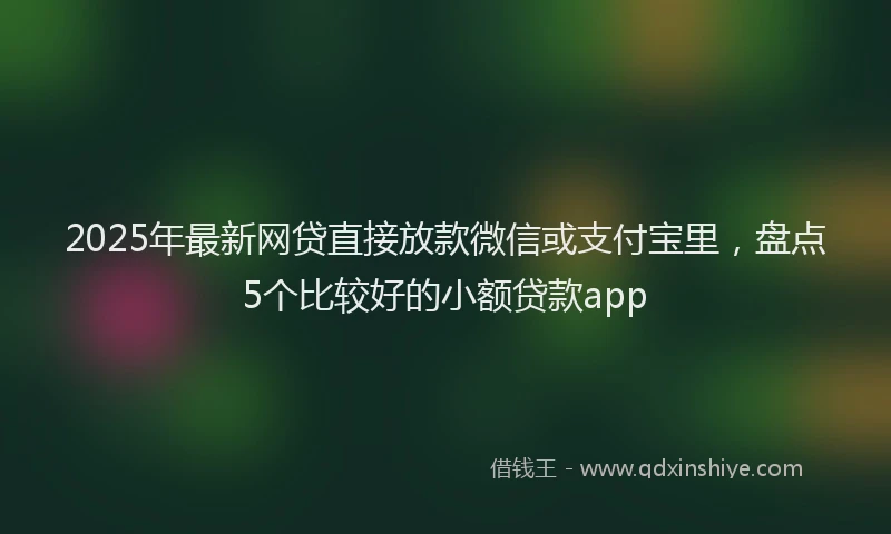 2025年最新网贷直接放款微信或支付宝里，盘点5个比较好的小额贷款app