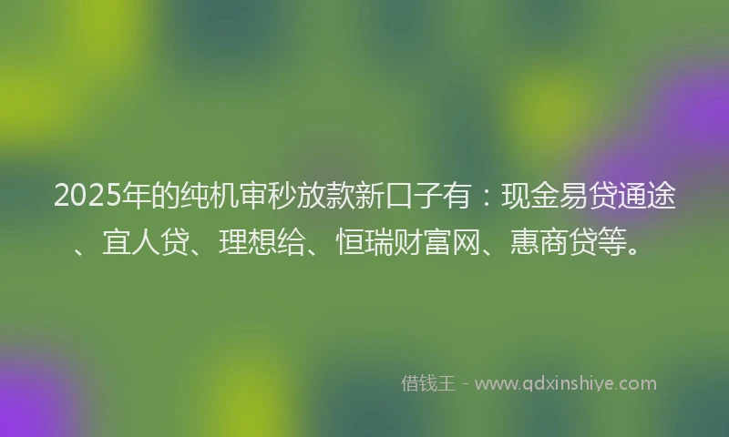 2025年的纯机审秒放款新口子有：现金易贷通途、宜人贷、理想给、恒瑞财富网、惠商贷等。