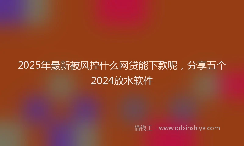 2025年最新被风控什么网贷能下款呢，分享五个2024放水软件