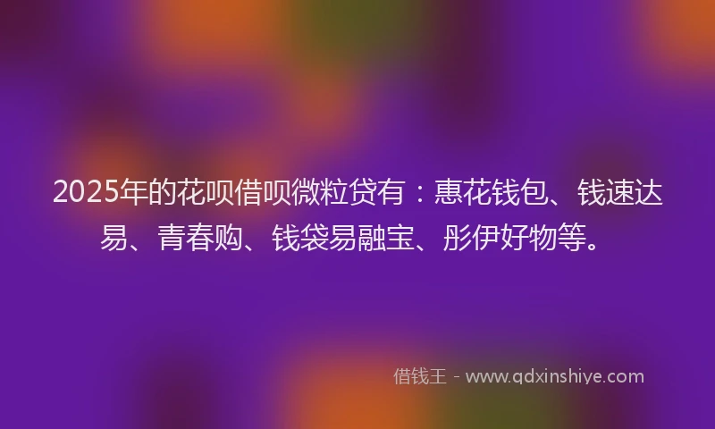 2025年的花呗借呗微粒贷有：惠花钱包、钱速达易、青春购、钱袋易融宝、彤伊好物等。