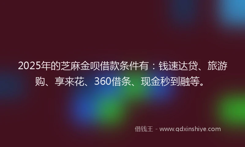 2025年的芝麻金呗借款条件有：钱速达贷、旅游购、享来花、360借条、现金秒到融等。