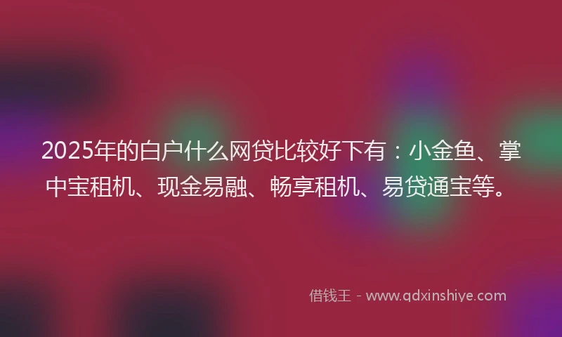 2025年的白户什么网贷比较好下有：小金鱼、掌中宝租机、现金易融、畅享租机、易贷通宝等。