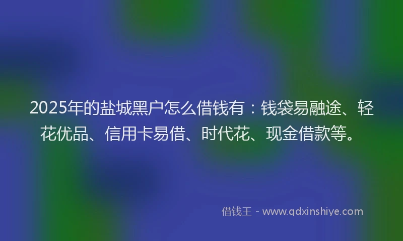 2025年的盐城黑户怎么借钱有：钱袋易融途、轻花优品、信用卡易借、时代花、现金借款等。
