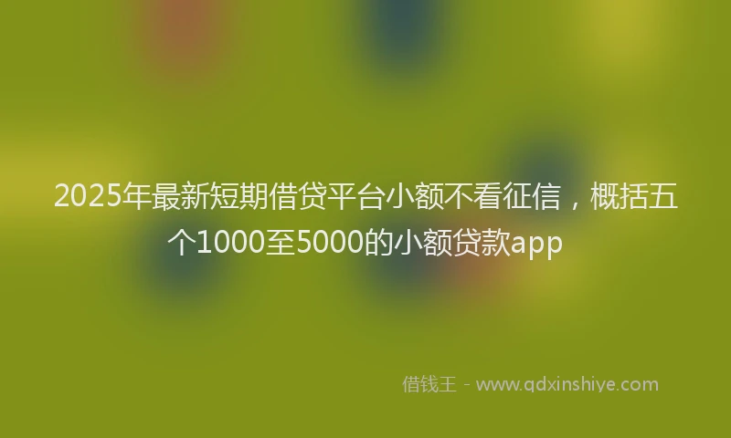 2025年最新短期借贷平台小额不看征信，概括五个1000至5000的小额贷款app