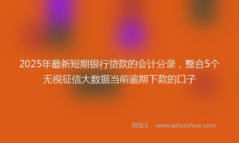 2025年最新短期银行贷款的会计分录，整合5个无视征信大数据当前逾期下款的口子