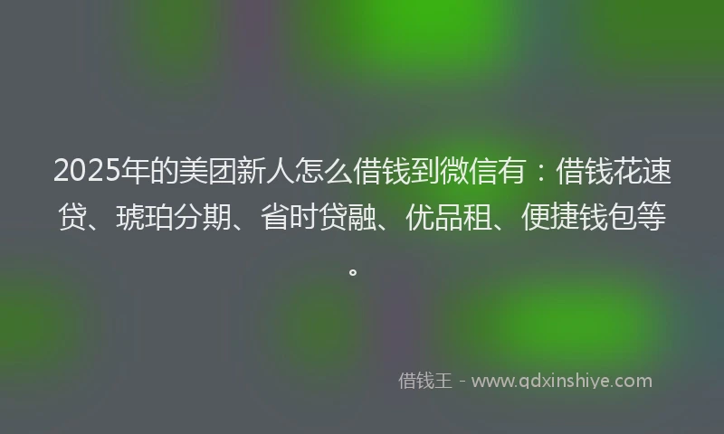 2025年的美团新人怎么借钱到微信有：借钱花速贷、琥珀分期、省时贷融、优品租、便捷钱包等。