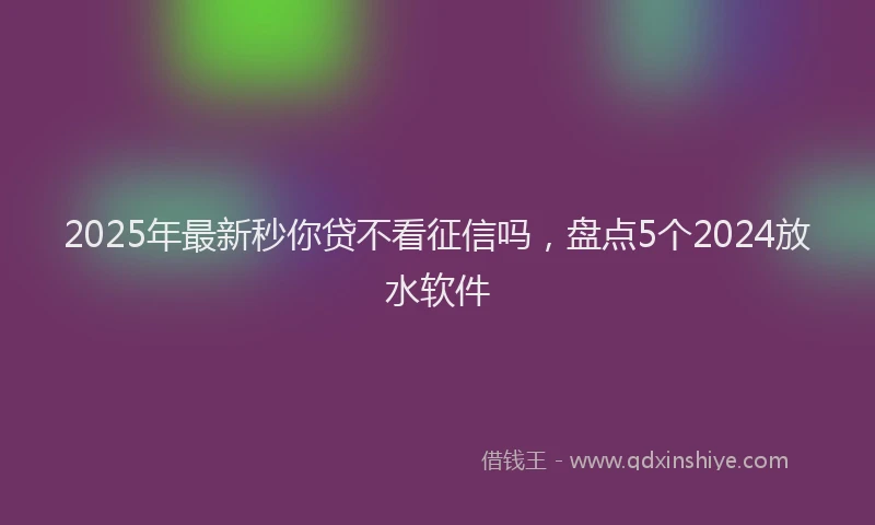 2025年最新秒你贷不看征信吗，盘点5个2024放水软件