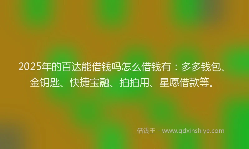 2025年的百达能借钱吗怎么借钱有：多多钱包、金钥匙、快捷宝融、拍拍用、星愿借款等。