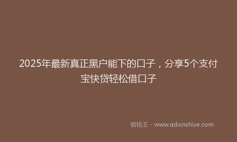 2025年最新真正黑户能下的口子，分享5个支付宝快贷轻松借口子