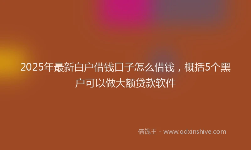 2025年最新白户借钱口子怎么借钱，概括5个黑户可以做大额贷款软件