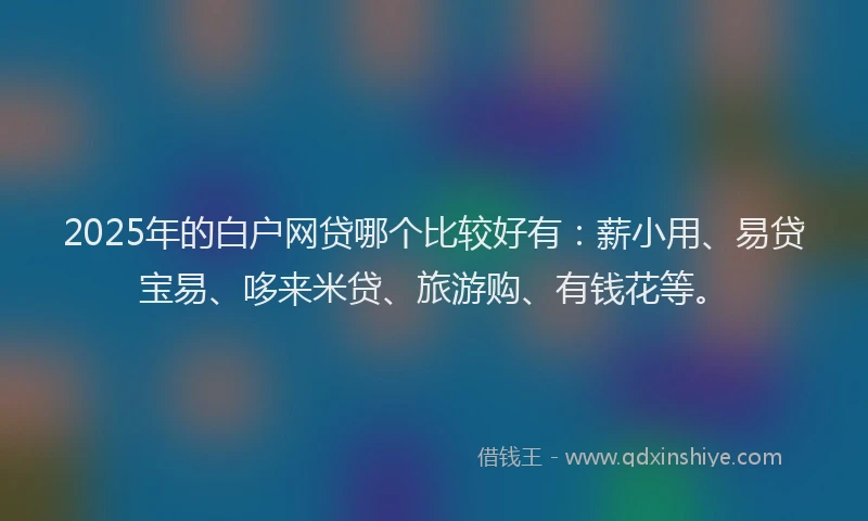2025年的白户网贷哪个比较好有：薪小用、易贷宝易、哆来米贷、旅游购、有钱花等。