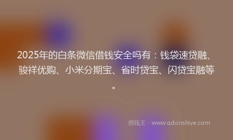 2025年的白条微信借钱安全吗有：钱袋速贷融、骏祥优购、小米分期宝、省时贷宝、闪贷宝融等。