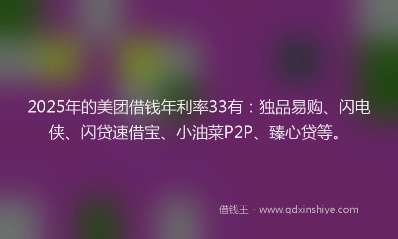 2025年的美团借钱年利率33有：独品易购、闪电侠、闪贷速借宝、小油菜P2P、臻心贷等。