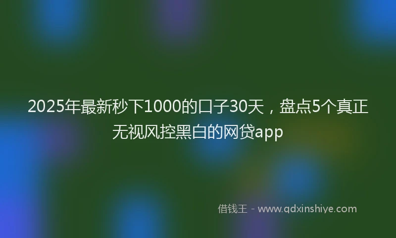 2025年最新秒下1000的口子30天，盘点5个真正无视风控黑白的网贷app