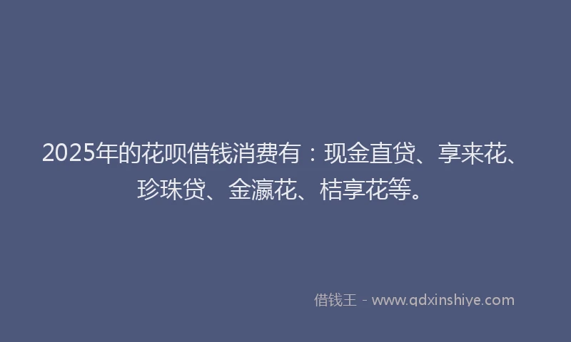 2025年的花呗借钱消费有：现金直贷、享来花、珍珠贷、金瀛花、桔享花等。