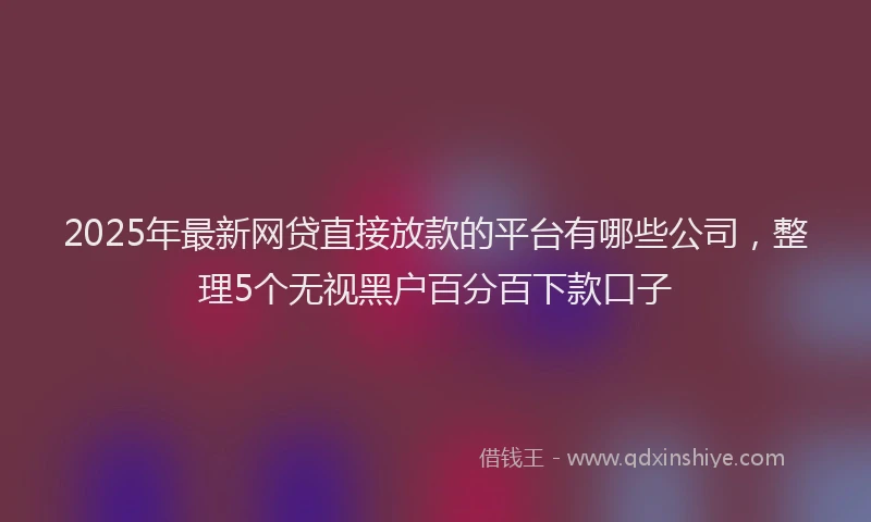 2025年最新网贷直接放款的平台有哪些公司，整理5个无视黑户百分百下款口子