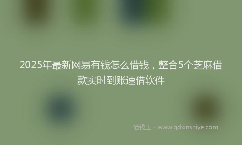 2025年最新网易有钱怎么借钱，整合5个芝麻借款实时到账速借软件