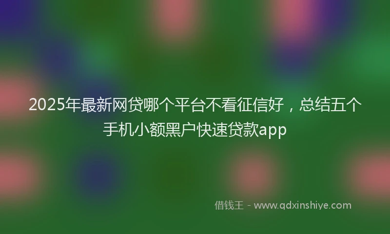 2025年最新网贷哪个平台不看征信好，总结五个手机小额黑户快速贷款app