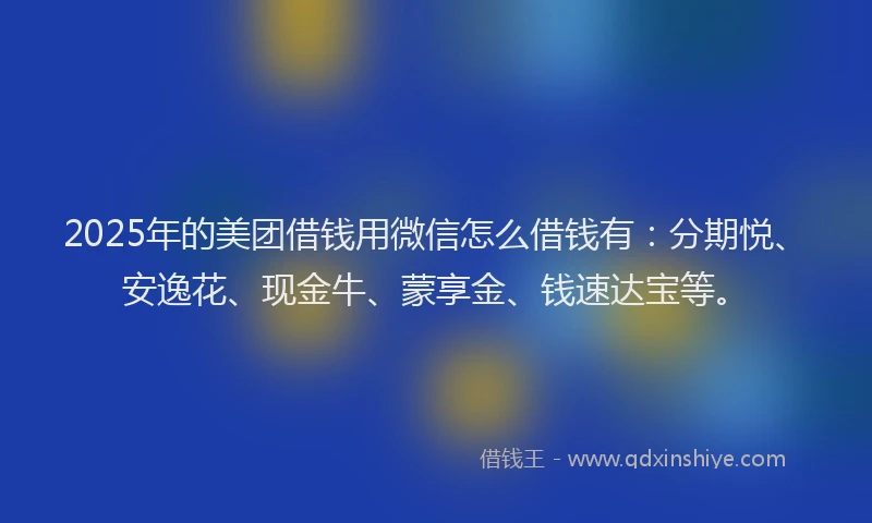 2025年的美团借钱用微信怎么借钱有：分期悦、安逸花、现金牛、蒙享金、钱速达宝等。