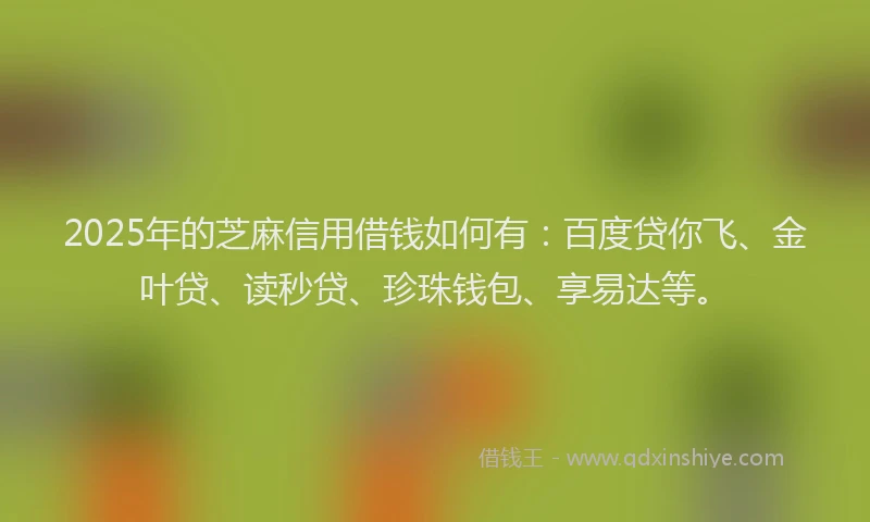 2025年的芝麻信用借钱如何有：百度贷你飞、金叶贷、读秒贷、珍珠钱包、享易达等。