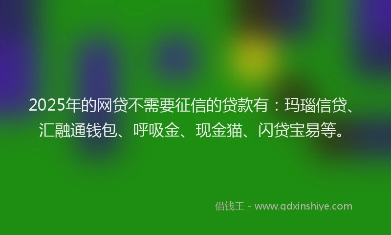 2025年的网贷不需要征信的贷款有：玛瑙信贷、汇融通钱包、呼吸金、现金猫、闪贷宝易等。