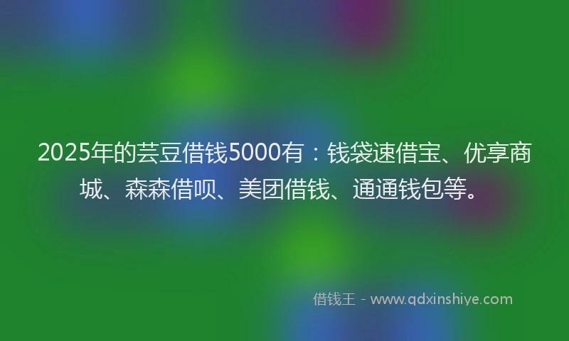 2025年的芸豆借钱5000有：钱袋速借宝、优享商城、森森借呗、美团借钱、通通钱包等。