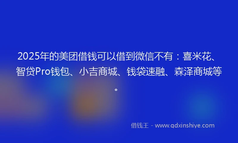 2025年的美团借钱可以借到微信不有：喜米花、智贷Pro钱包、小吉商城、钱袋速融、森泽商城等。