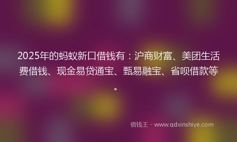 2025年的蚂蚁新口借钱有：沪商财富、美团生活费借钱、现金易贷通宝、甄易融宝、省呗借款等。