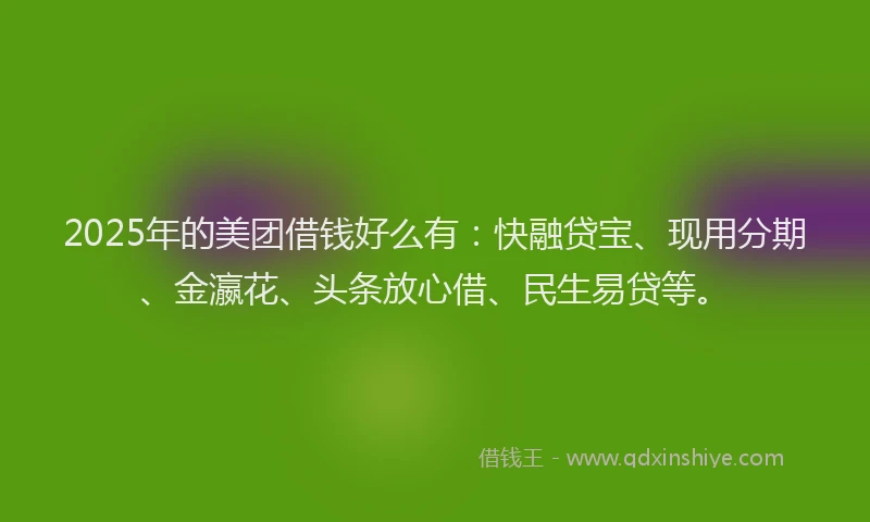 2025年的美团借钱好么有：快融贷宝、现用分期、金瀛花、头条放心借、民生易贷等。