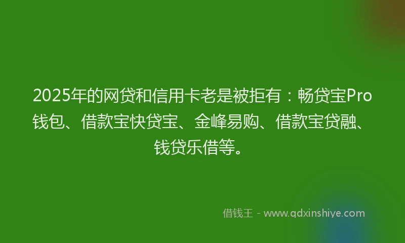 2025年的网贷和信用卡老是被拒有：畅贷宝Pro钱包、借款宝快贷宝、金峰易购、借款宝贷融、钱贷乐借等。