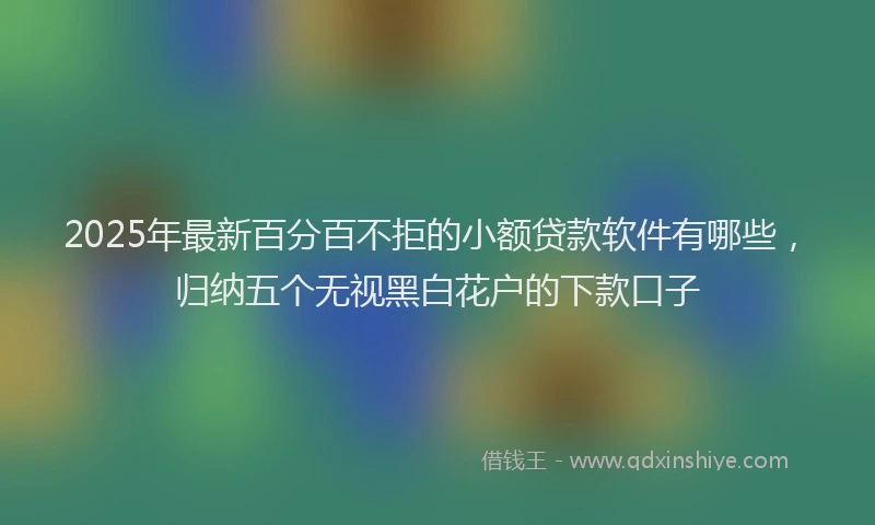 2025年最新百分百不拒的小额贷款软件有哪些，归纳五个无视黑白花户的下款口子