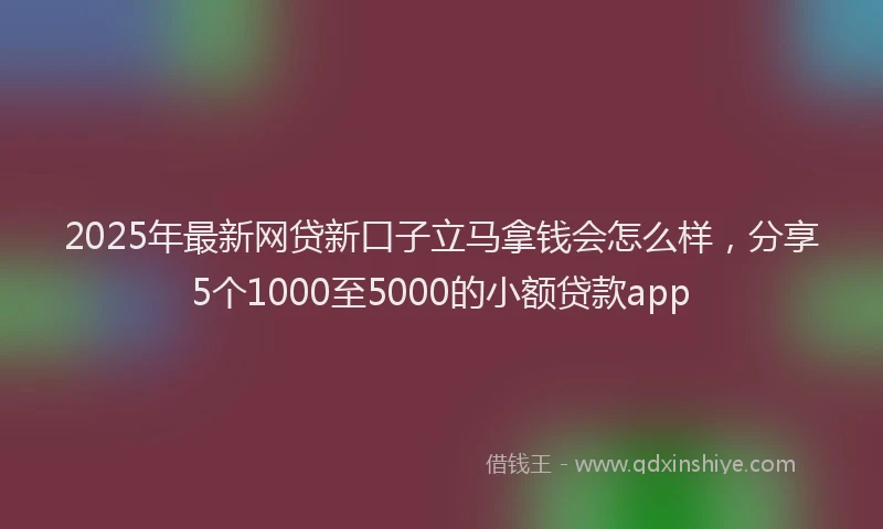 2025年最新网贷新口子立马拿钱会怎么样，分享5个1000至5000的小额贷款app