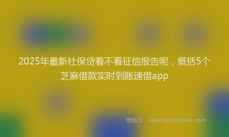 2025年最新社保贷看不看征信报告呢，概括5个芝麻借款实时到账速借app