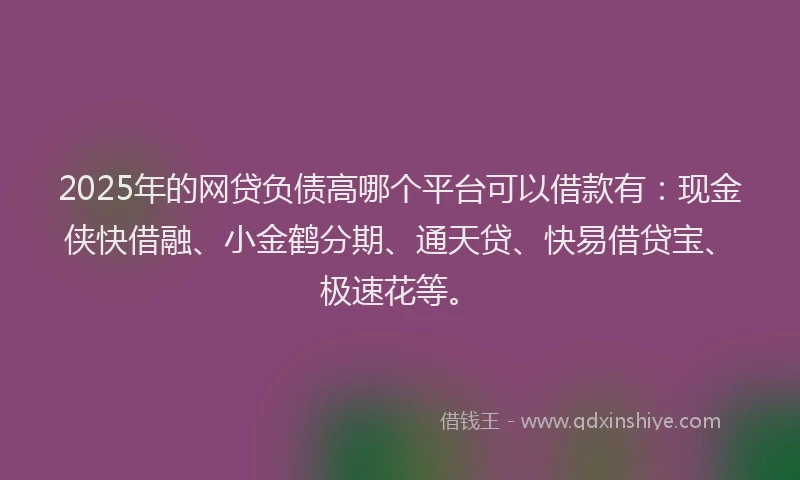 2025年的网贷负债高哪个平台可以借款有：现金侠快借融、小金鹤分期、通天贷、快易借贷宝、极速花等。