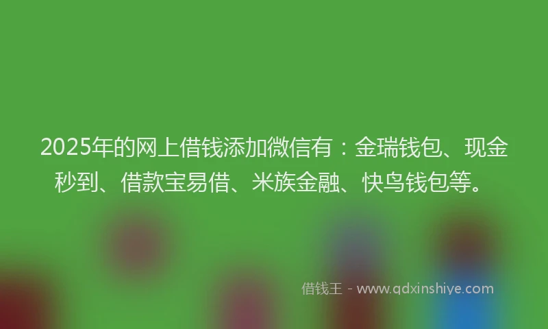2025年的网上借钱添加微信有：金瑞钱包、现金秒到、借款宝易借、米族金融、快鸟钱包等。