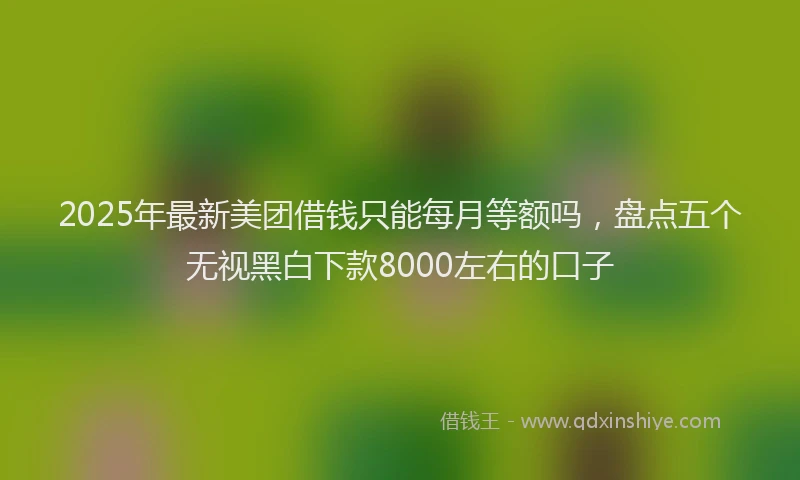 2025年最新美团借钱只能每月等额吗，盘点五个无视黑白下款8000左右的口子