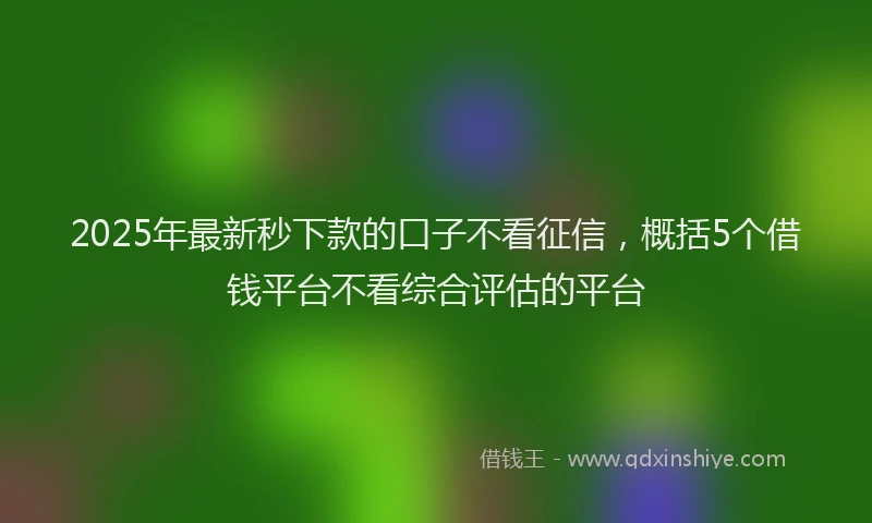 2025年最新秒下款的口子不看征信，概括5个借钱平台不看综合评估的平台