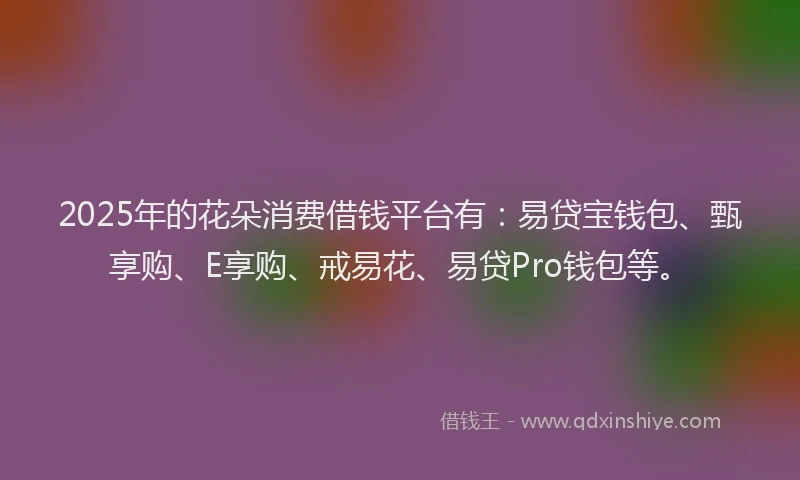 2025年的花朵消费借钱平台有：易贷宝钱包、甄享购、E享购、戒易花、易贷Pro钱包等。