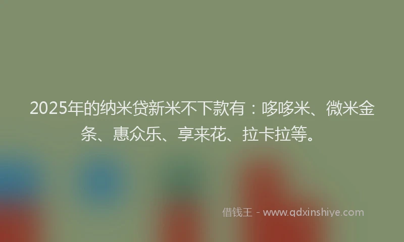2025年的纳米贷新米不下款有：哆哆米、微米金条、惠众乐、享来花、拉卡拉等。
