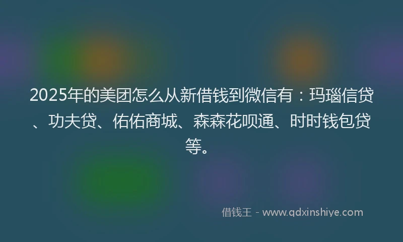 2025年的美团怎么从新借钱到微信有：玛瑙信贷、功夫贷、佑佑商城、森森花呗通、时时钱包贷等。