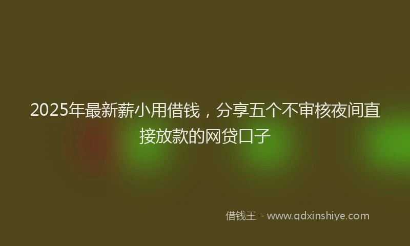2025年最新薪小用借钱，分享五个不审核夜间直接放款的网贷口子